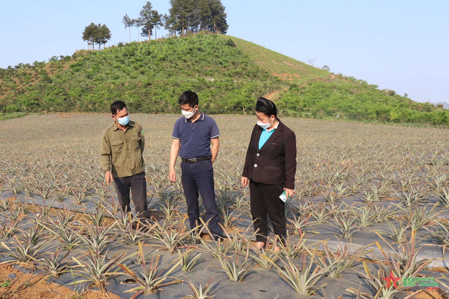 Đổi thay ở bản Kim Sơn I